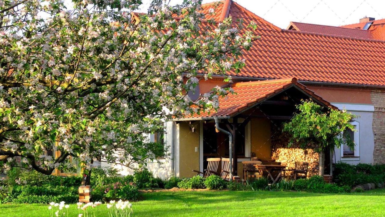 Janischs Fewo Im Spreewald, Terrasse, Grosser Garten Und Blick Inklusive Unterspreewald Exterior photo