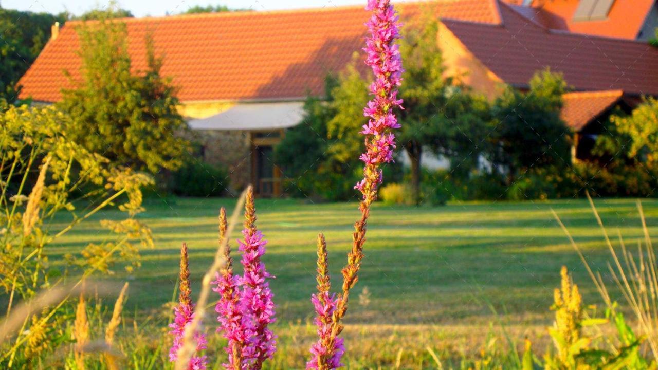 Janischs Fewo Im Spreewald, Terrasse, Grosser Garten Und Blick Inklusive Unterspreewald Exterior photo